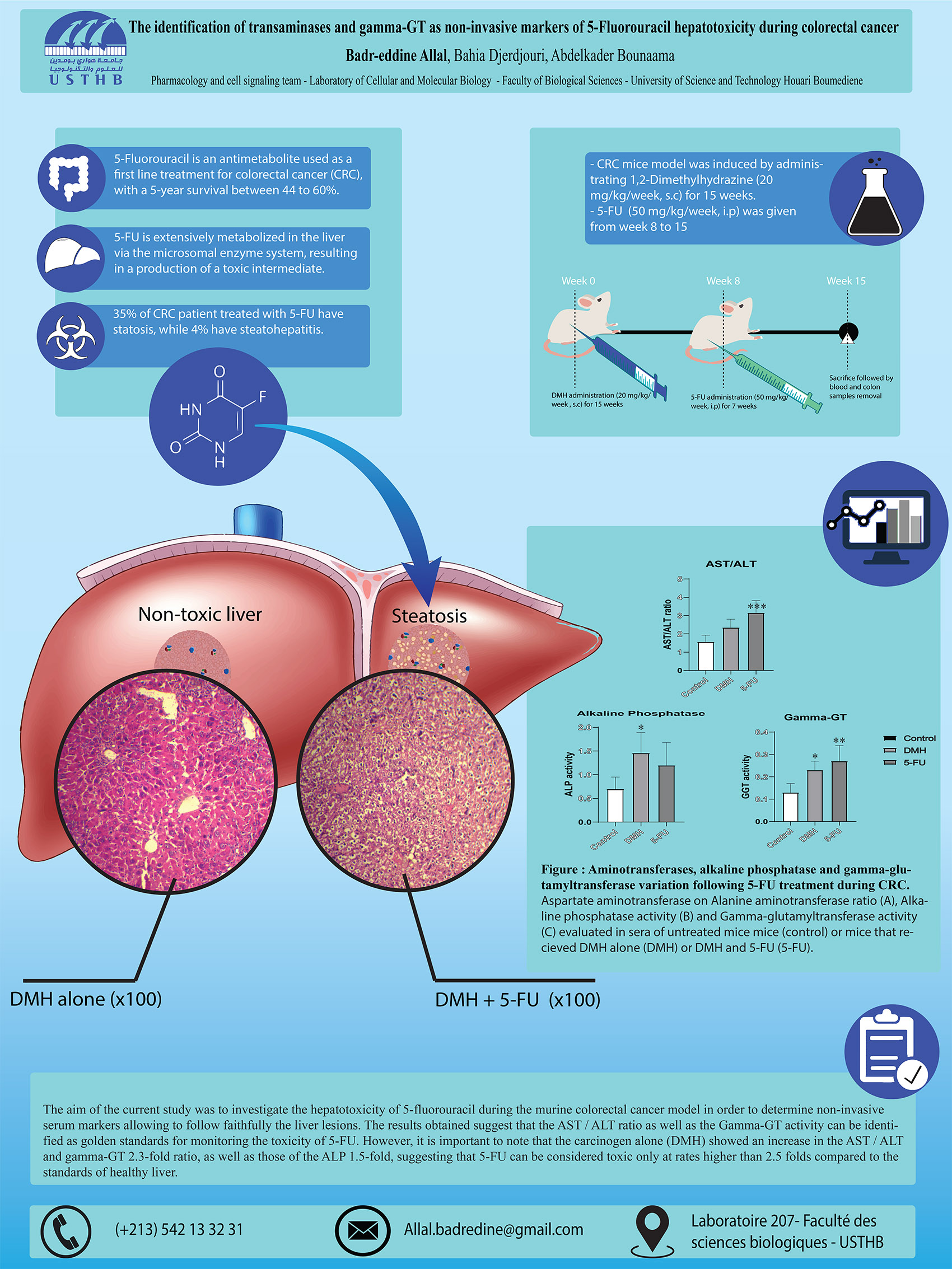 P26 : The identification of transaminases and gamma-GT as non-invasive markers of 5-Fluorouracil hepatotoxicity during colorectal cancer