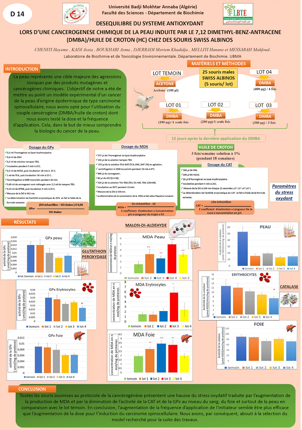 D14: DESEQUILIBRE DU SYSTEME ANTIOXYDANT  LORS D’UNE CANCEROGENESE CHIMIQUE DE LA PEAU INDUITE PAR LE 7,12 DIMETHYL-BENZ-ANTRACENE (DMBA)/HUILE DE CROTON (HC) CHEZ DES SOURIS SWISS ALBINOS