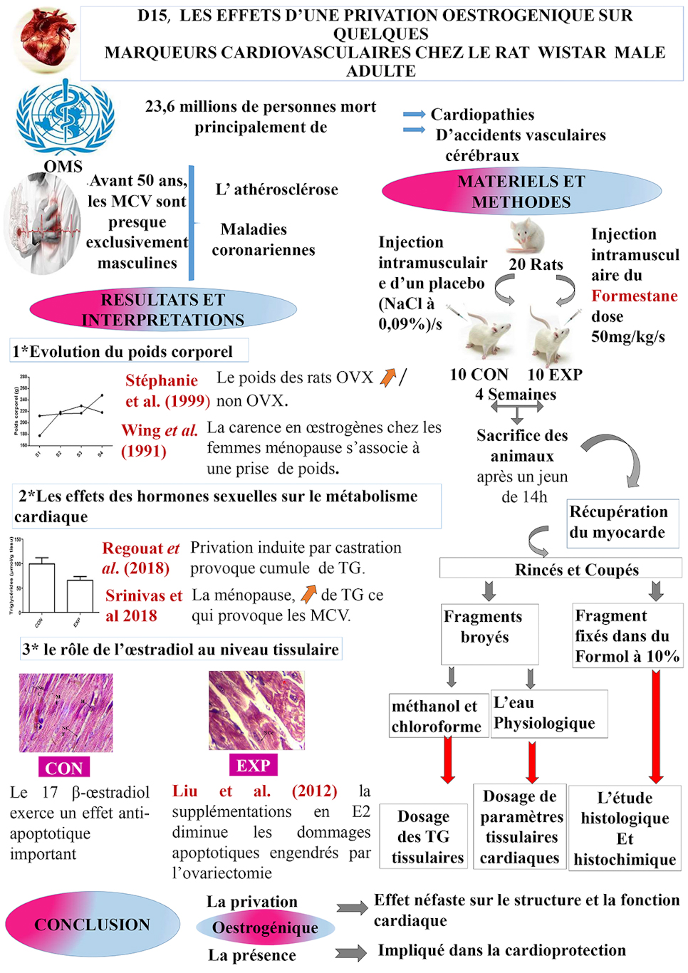 D15:  LES EFFETS D’UNE PRIVATION OESTROGENIQUE SUR QUELQUES   MARQUEURS CARDIOVASCULAIRES CHEZ LE RAT  WISTAR  MALE ADULTE