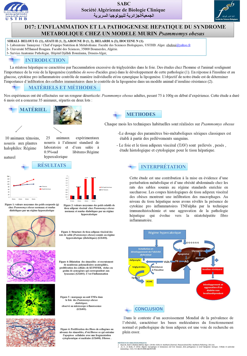 D17: L’INFLAMMATION ET LA PATHOGENESE HEPATIQUE DU SYNDROME METABOLIQUE CHEZ UN MODELE MURIN Psammomys obesus