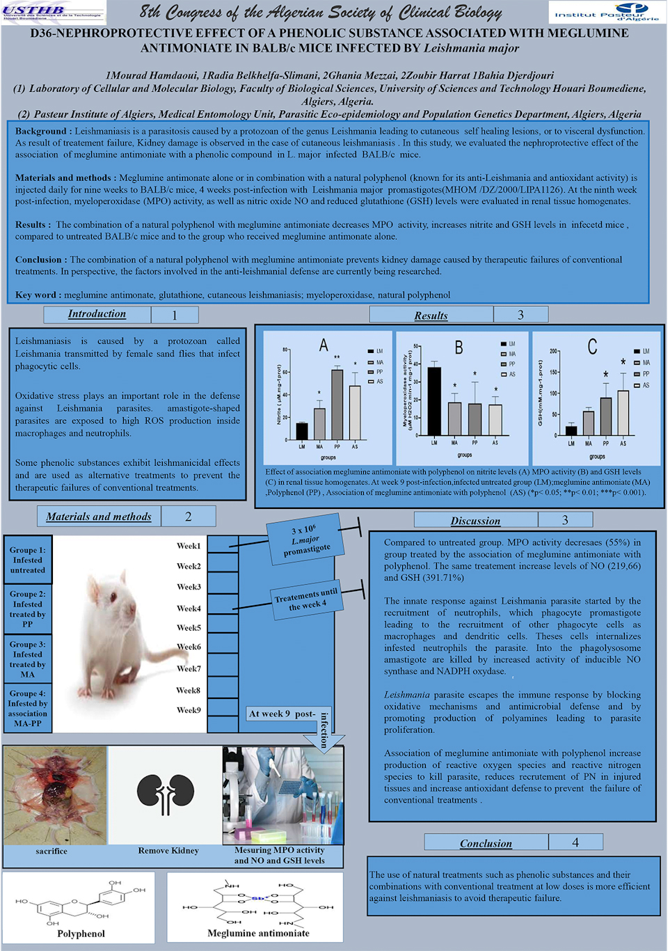 D36: NEPHROPROTECTIVE EFFECT OF A PHENOLIC SUBSTANCE ASSOCIATED WITH MEGLUMINE ANTIMONIATE IN BALB/c MICE INFECTED BY Leishmania major