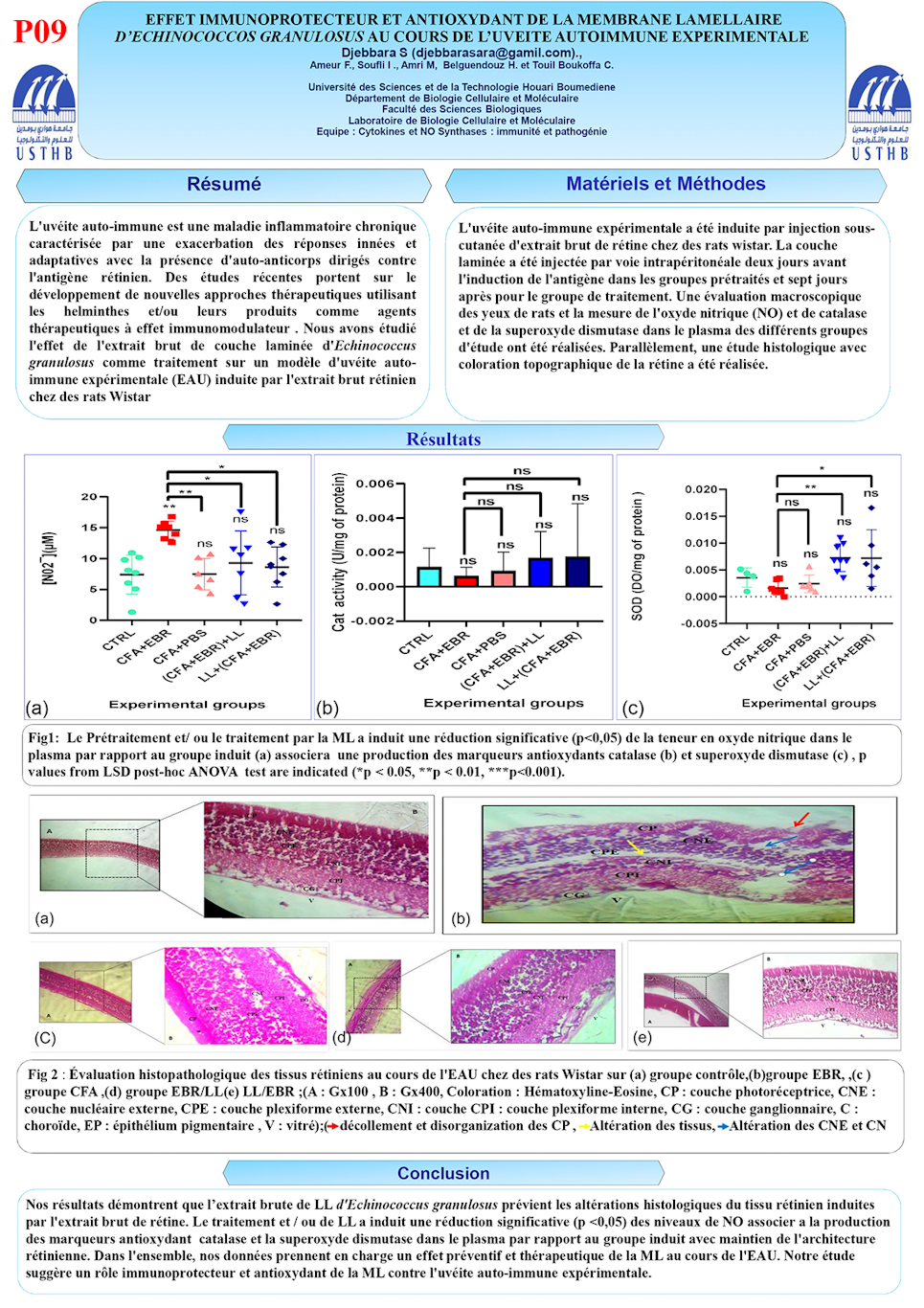 P09: EFFET IMMUNOPROTECTEUR ET ANTIOXYDANT DE LA MEMBRANE LAMELLAIRE D’ECHINOCOCCOS GRANULOSUS AU COURS DE L’UVEITE AUTOIMMUNE EXPERIMENTALE