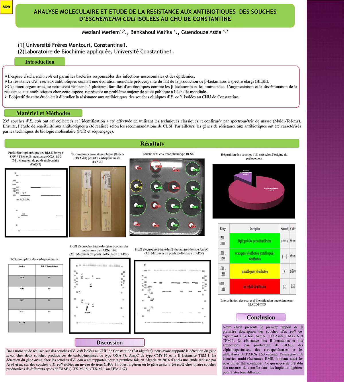 M29: ANALYSE MOLECULAIRE ET ETUDE DE LA RESISTANCE AUX ANTIBIOTIQUES  DES SOUCHES D’ESCHERICHIA COLI ISOLEES AU CHU DE CONSTANTINE