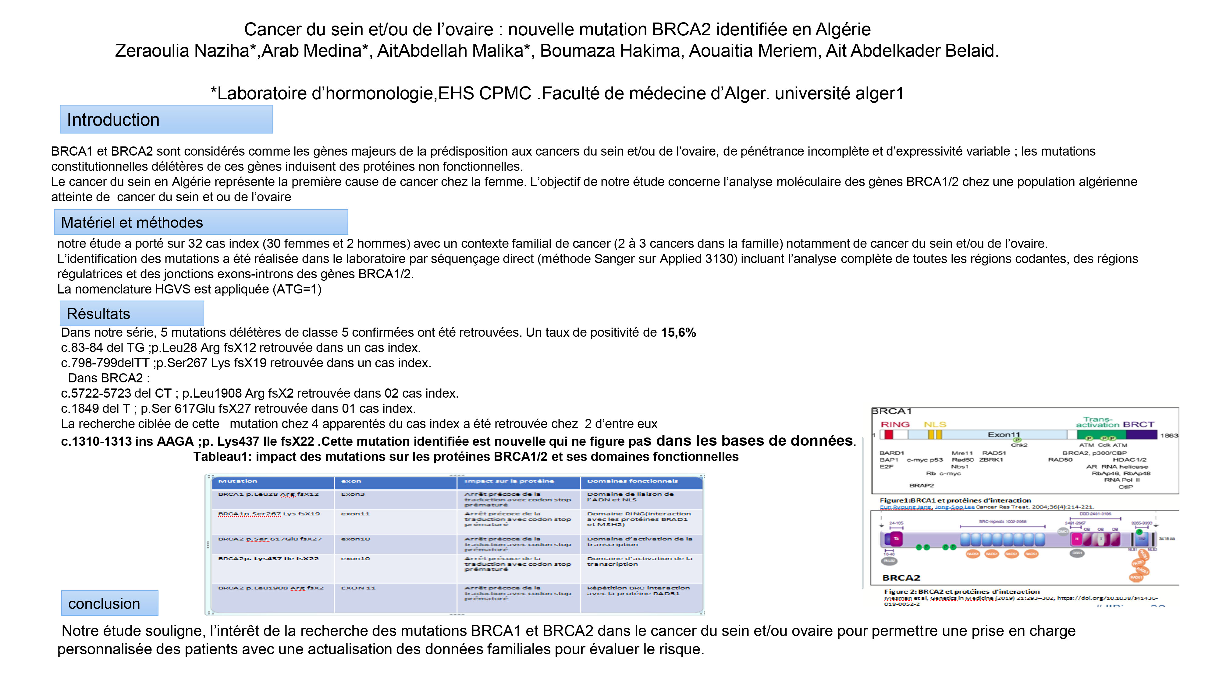 GENETIQUE : P53 - Cancer du sein et/ou de l’ovaire : nouvelle mutation BRCA2 identifiée en Algérie